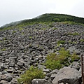 nEO_IMG_DSC_0089.jpg
