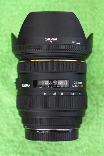 9L8A8555