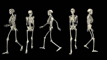 skeleton_pack_590_332