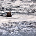 DSC_4669.jpg