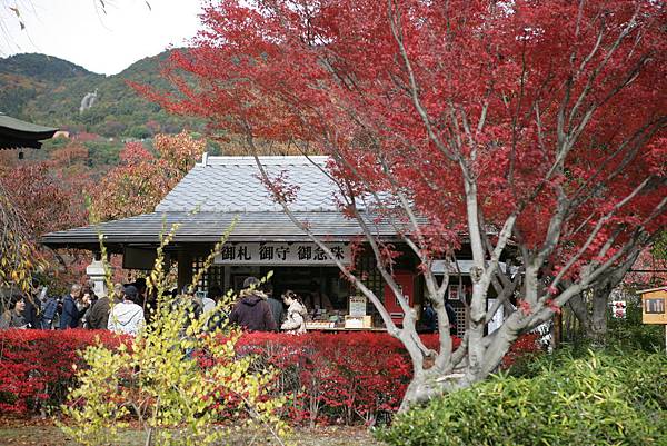 長野善光寺006