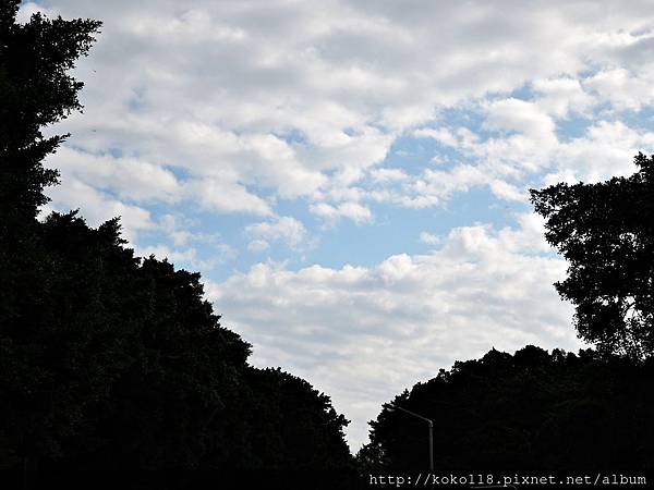 104.12.12 交通大學博愛校區-天空2.JPG