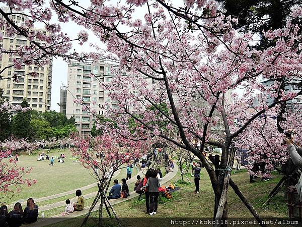 105.3.4 新竹公園-音悅廣場2.JPG