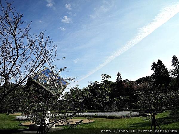 105.11.26 新竹公園-飛機雲1.JPG