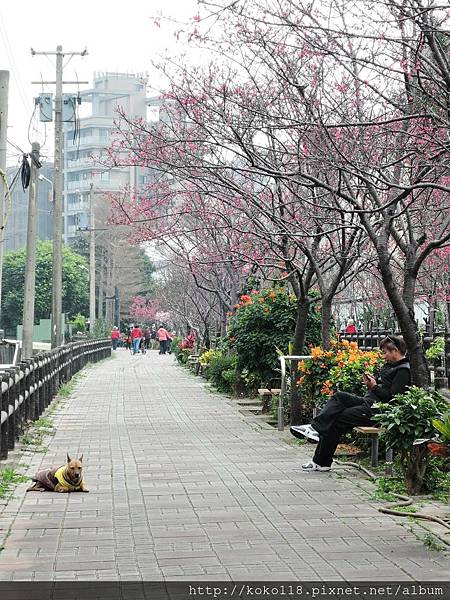 107.2.19 東山濕地生態教學公園外-圳溝步道.JPG