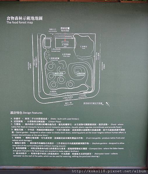 107.4.22 綠園道食物森林12.JPG