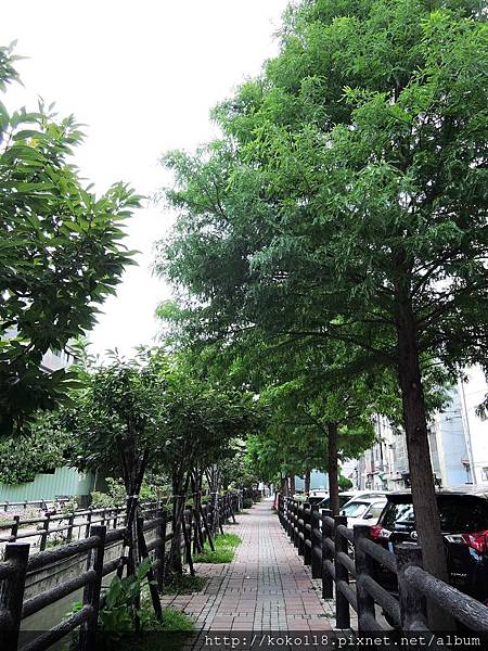 107.7.27 東山濕地生態教學公園外-落羽松步道.JPG 107.7.27 東山濕地生態教學公園外-落羽松步道.JPG