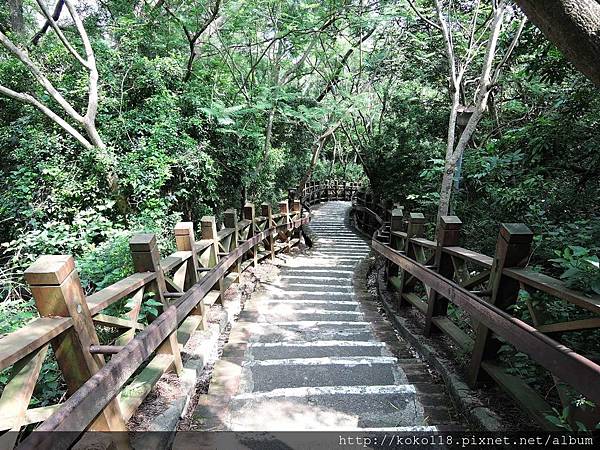 108.4.26 十八尖山-獅子亭後方階梯2.JPG