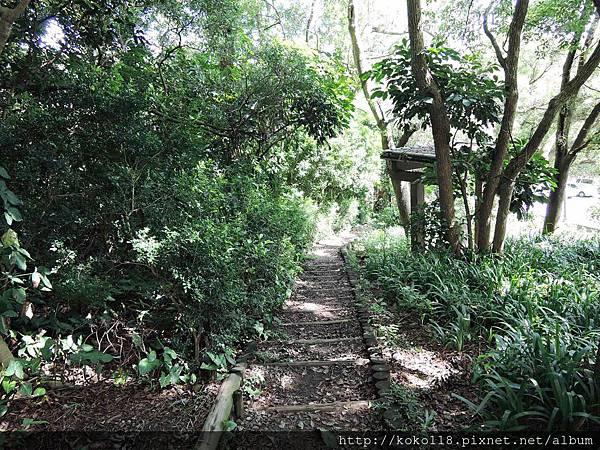 108.7.24 十八尖山-步道.JPG