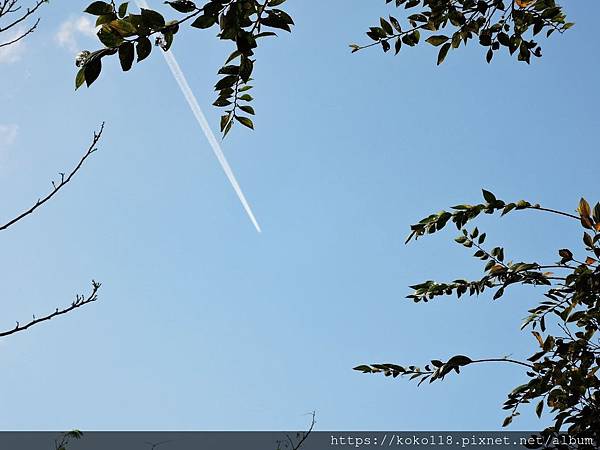 108.11.25 十八尖山-天空.JPG