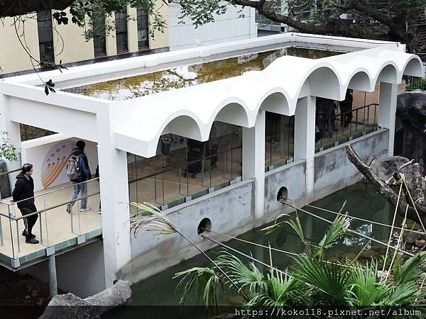 109.1.1 新竹公園-動物園-猴島3.JPG