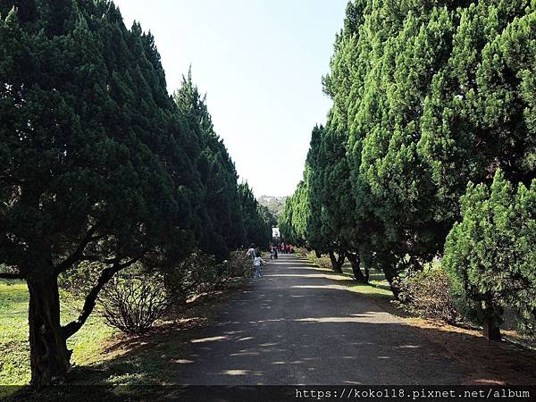 109.1.5 清華大學梅園3.JPG