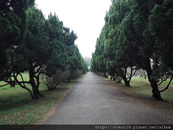 109.1.11 清華大學梅園1.JPG