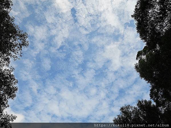 109.10.29 十八尖山-天空.JPG