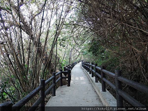 109.11.21 十八尖山-建華步道.JPG