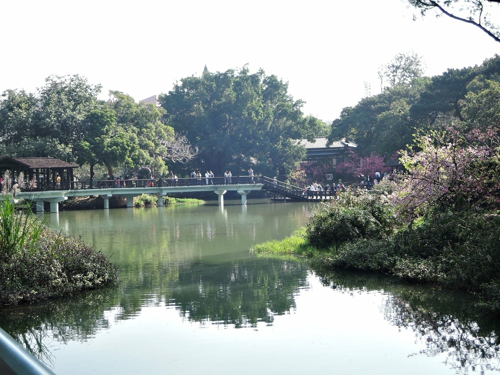 110.2.21 新竹公園-麗池6.JPG