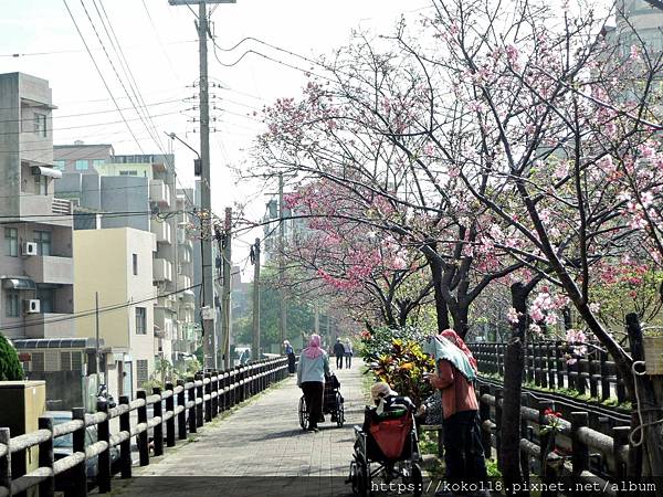 110.2.25 東山濕地生態教學公園外-東南街圳溝.JPG