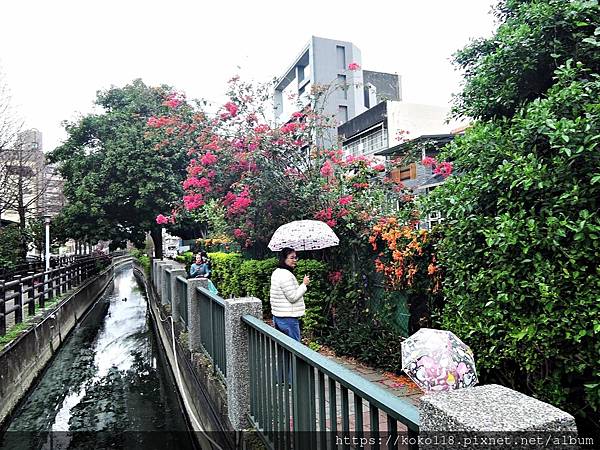 110.2.27 東山濕地生態教學公園外-東南街圳溝步道.JPG