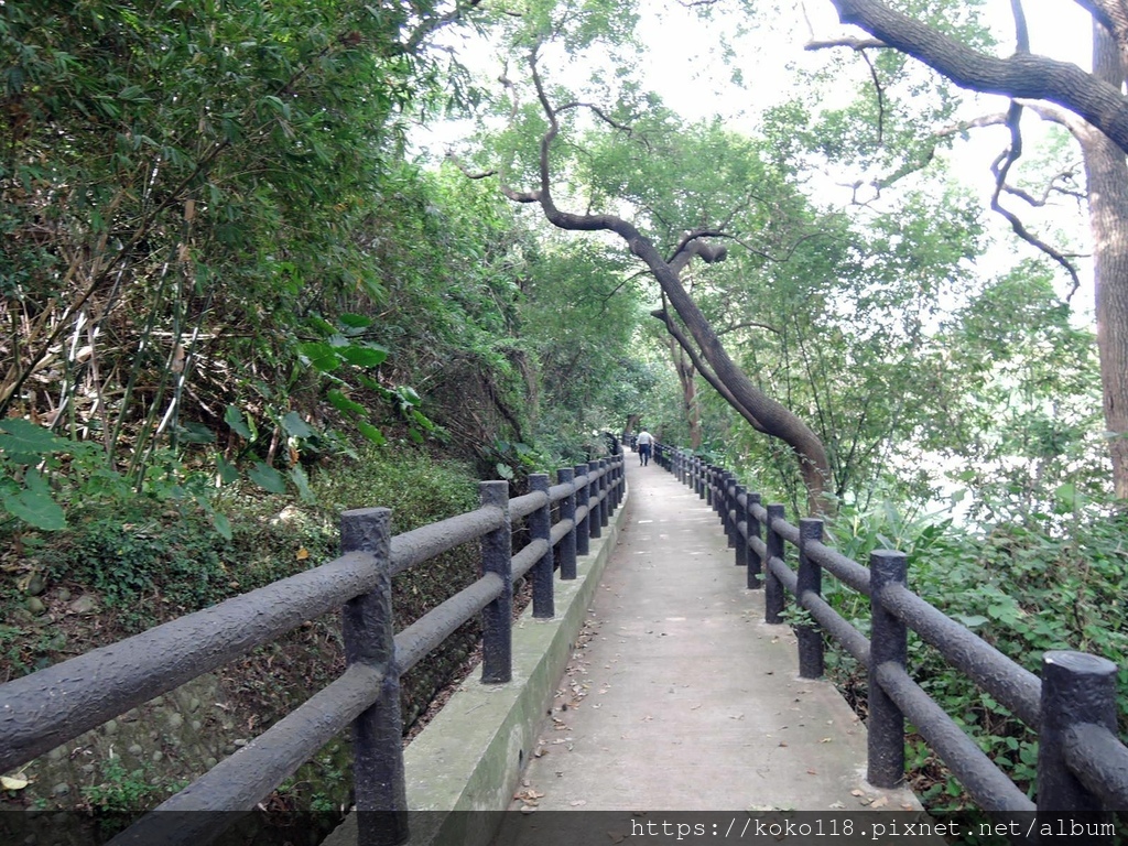 110.11.3 十八尖山-建華步道.JPG