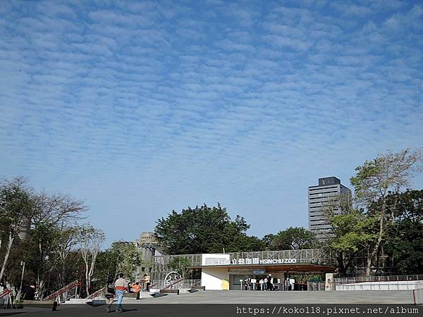 111.2.27 新竹動物園-天空1.JPG