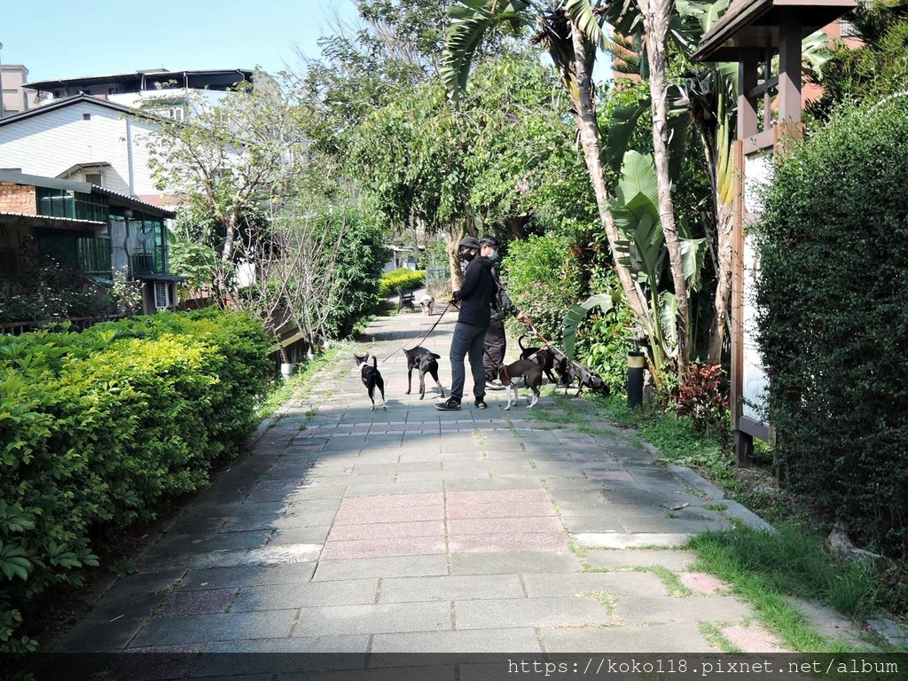 111.3.10 東山濕地生態教學公園外-狗.JPG