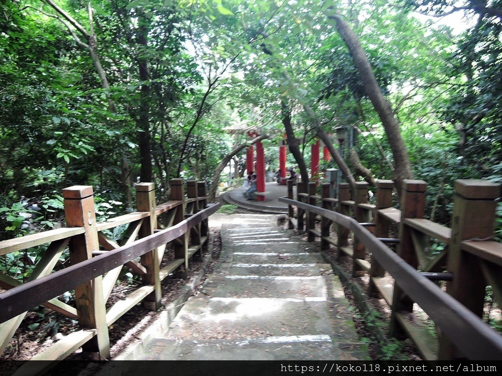 111.6.25 十八尖山-獅子亭後方步道1.JPG