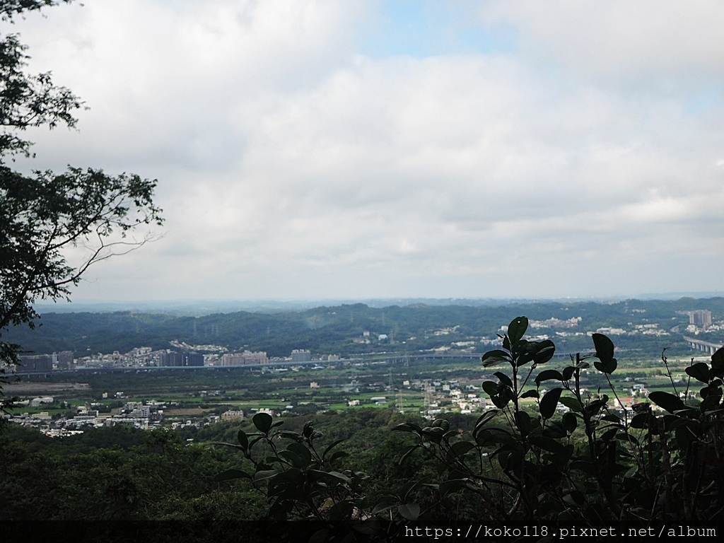 111.10.9 芎林-飛鳯山7.JPG