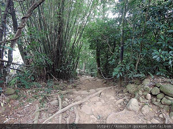 111.10.9 芎林-飛鳯山16-風情萬景路況.JPG