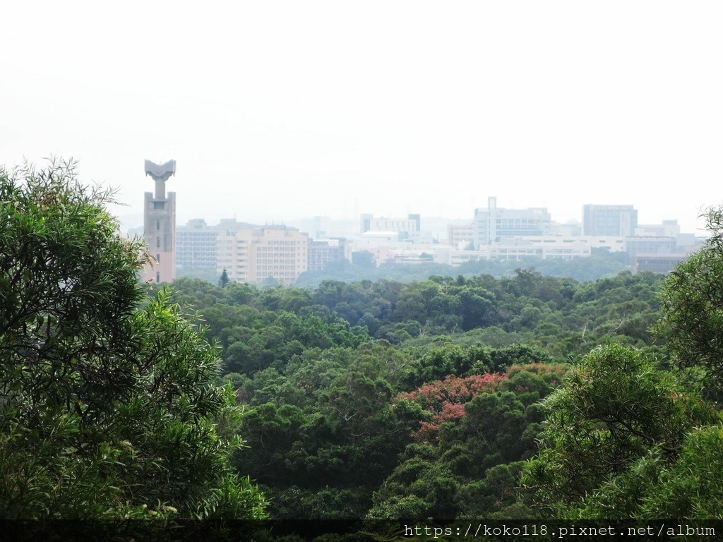 111.10.10 十八尖山4.JPG