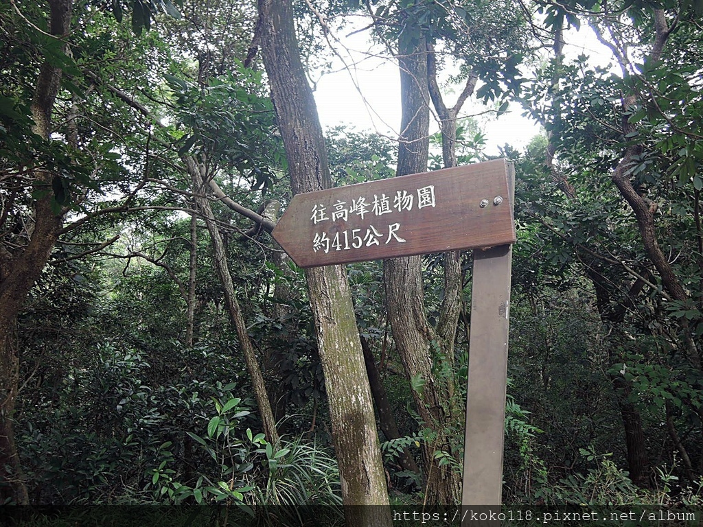 111.10.30 十八尖山-往桐花步道5-往高峰植物園指標.JPG