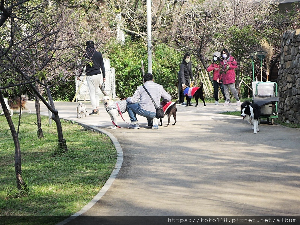 111.12.23 新竹公園-狗12.JPG