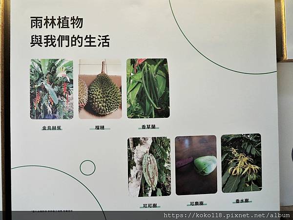 112.1.26 新竹動物園-介紹板-雨林植物與我們的生活.JPG