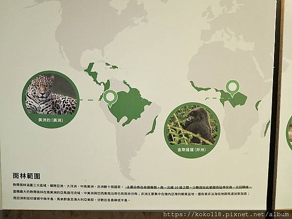 112.1.26 新竹動物園-介紹板-雨林植物與我們的生活5.JPG