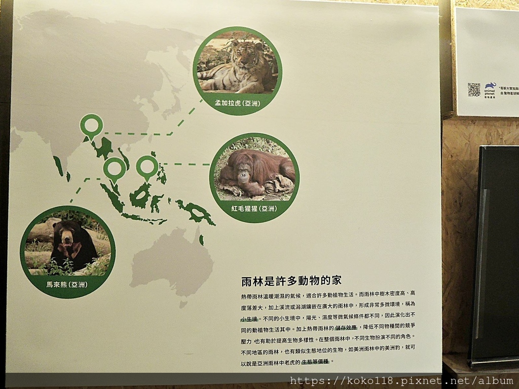 112.1.26 新竹動物園-介紹板-雨林植物與我們的生活6.JPG
