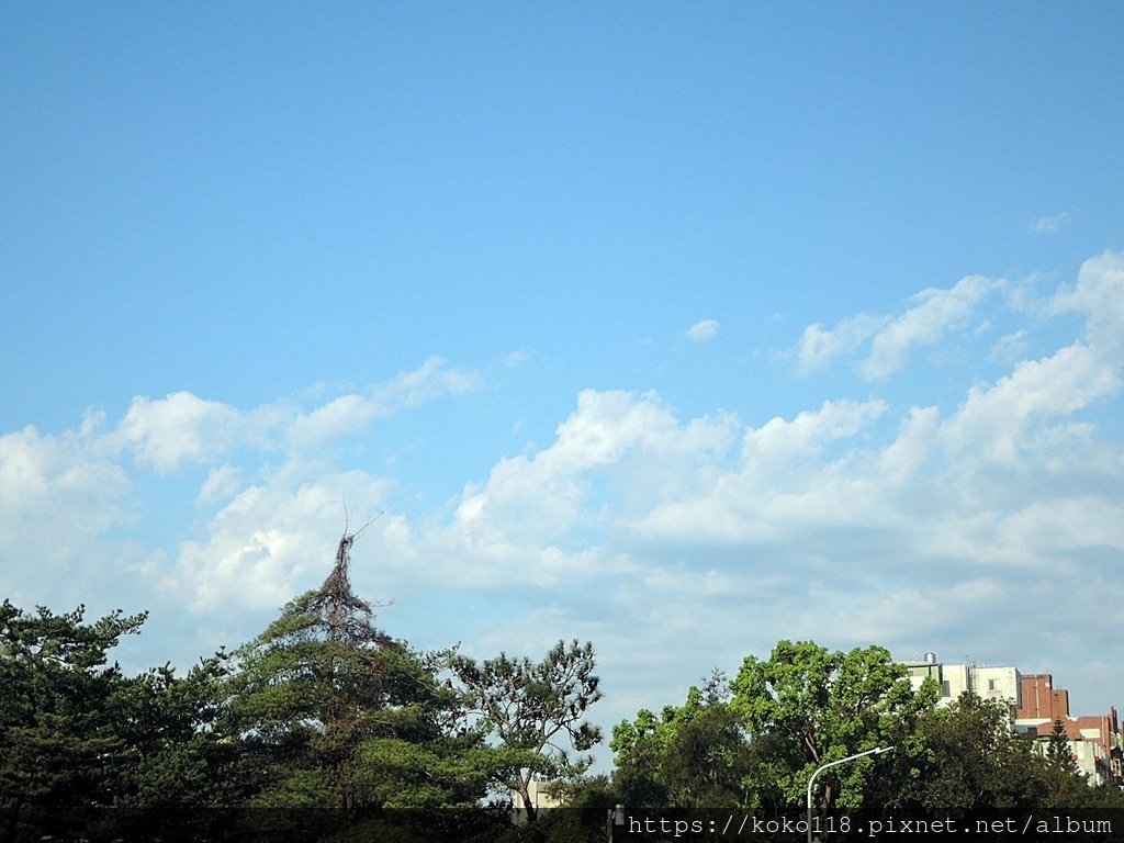 112.2.13 陽明交通大學博愛校區外-天空.JPG