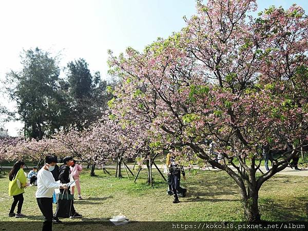 112.2.17 新竹公園68.JPG