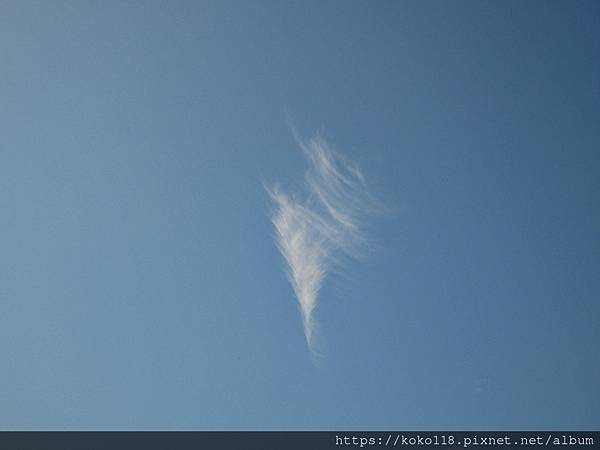 113.2.13 十八尖山-自由車場-天空的雲.JPG