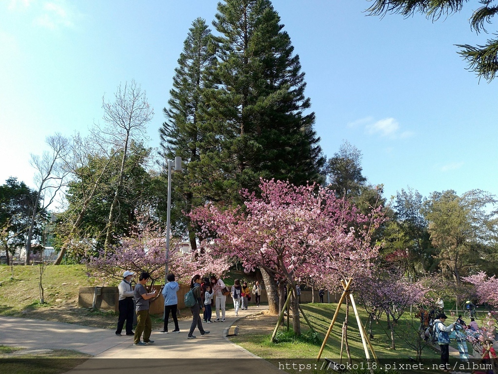 113.2.24 新竹公園-圓形廣場3.jpg