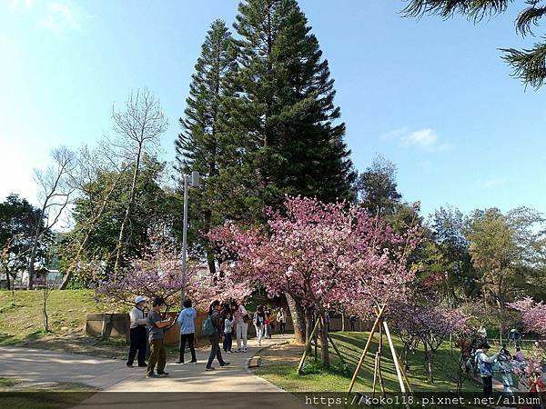 113.2.24 新竹公園-圓形廣場3.jpg