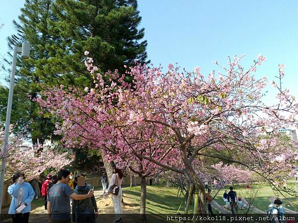 113.2.24 新竹公園-圓形廣場2.jpg