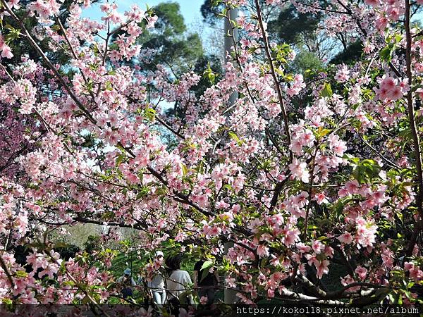 113.2.24 新竹公園-圓形廣場28.JPG