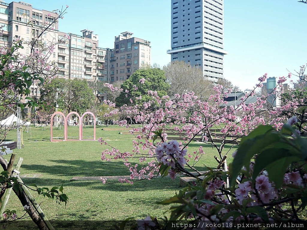 113.2.24 新竹公園-圓形廣場32.JPG