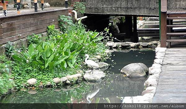 112.10.22 下竹樹屋-圳溝4.JPG