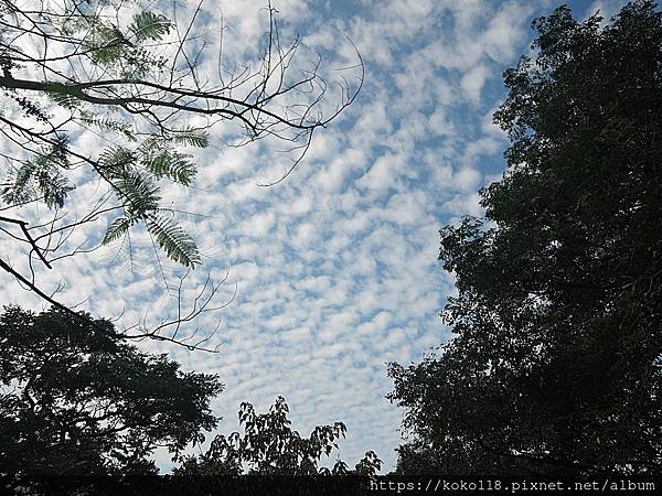 112.11.1 十八尖山-天空.JPG