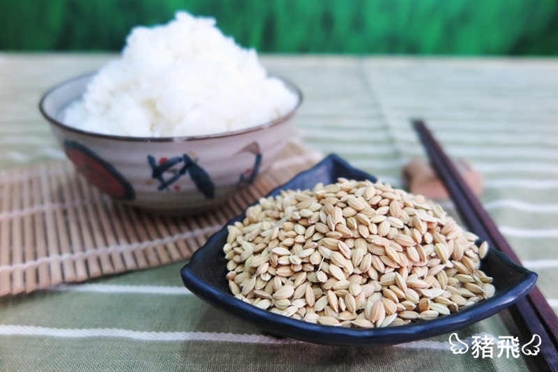 第一稻米倉 (39).JPG 第一稻米倉 (39).JPG