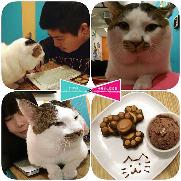 collage.jpg collage.jpg