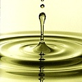 克納健健康樂活網@kolagenlohas【獵人谷之夢】澳洲年度早摘頂級初榨橄欖油oil_drop