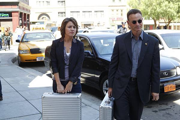 CSI: NY, 9.05 Misconceptions