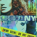 CSI: NY 第三季 DVD﹝正面﹞