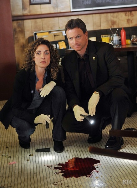 CSI: NY, 5.25